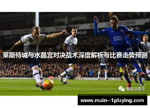 莱斯特城与水晶宫对决战术深度解析与比赛走势预测