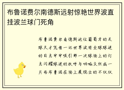 布鲁诺费尔南德斯远射惊艳世界波直挂波兰球门死角